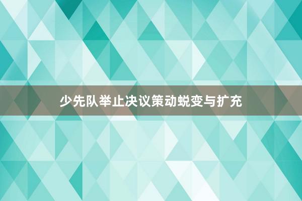 少先队举止决议策动蜕变与扩充