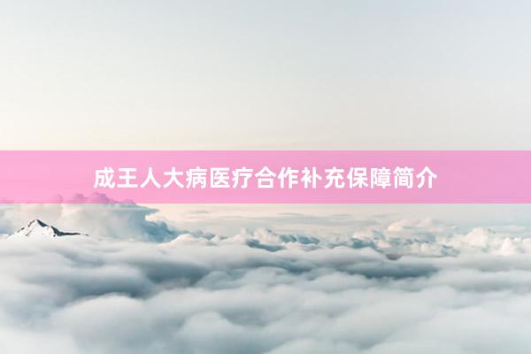 成王人大病医疗合作补充保障简介